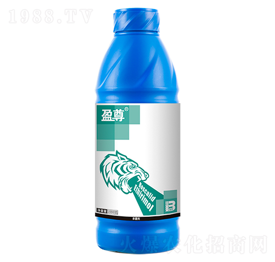 ������������׷ӣ�1000g��-ӯ��-ӯ�x