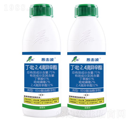 75%��������2��4���ή���֬-�[����-����