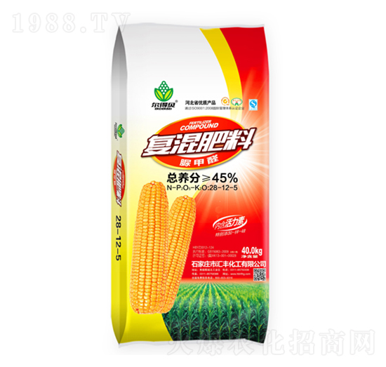 ���ȩ��(f��)�����28-12-5-�R�S����