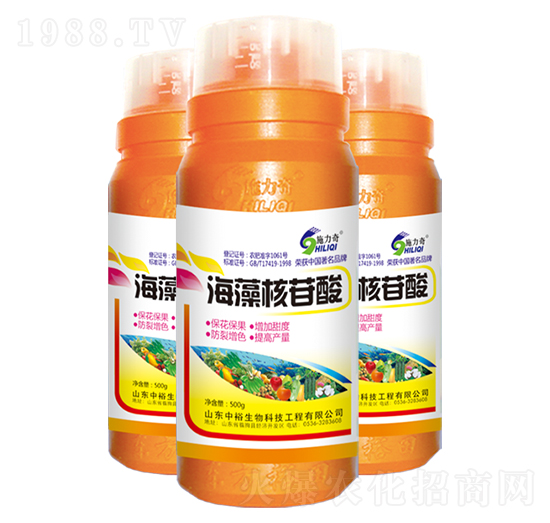 ���������-ʩ����-ԣ��߿�