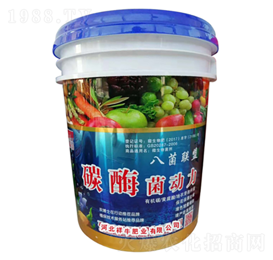 ̼ø������-��ţ�ʘI(y��)