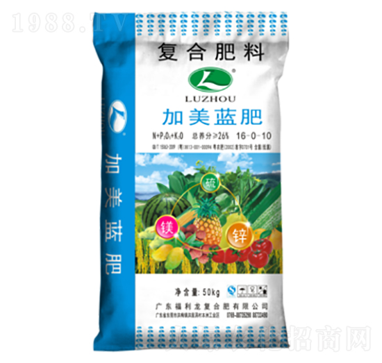 �����{(l��n)�ʏ�(f��)�Ϸ���16-0-10-������