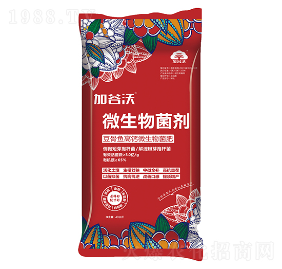 �����~���}΢�������-�ӹ���