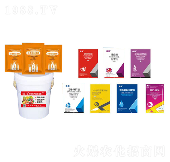 С���M���ײ�-����-�����_