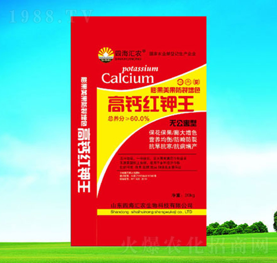 ���}�t���-�ĺ��R�r