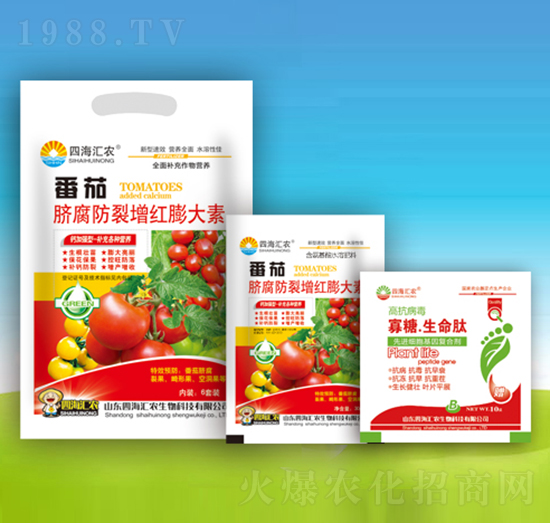 ����Ě���������t�����-�ĺ��R�r