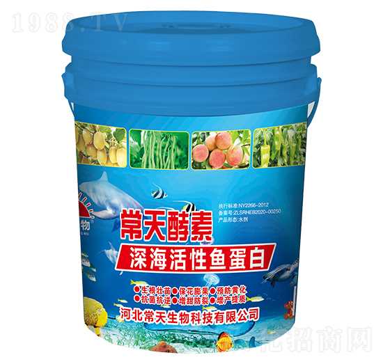 ��������~����-�������-��������