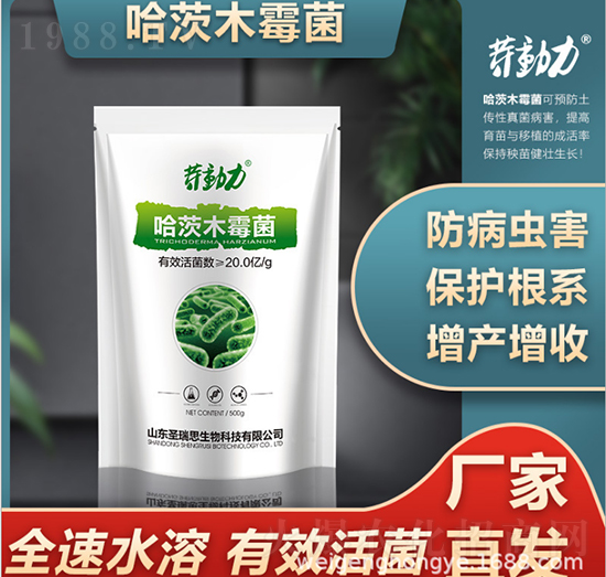 ����ľù��-΢���r(n��ng)�I(y��)