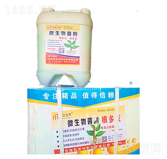 ΢�������-�P����