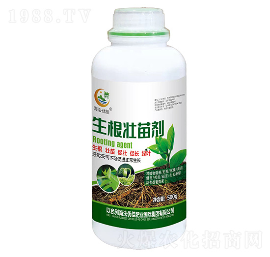 �������焩-������(y��u)��