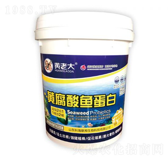 �S�����~����-�S�ϴ�-�ƺ�(li��n)��