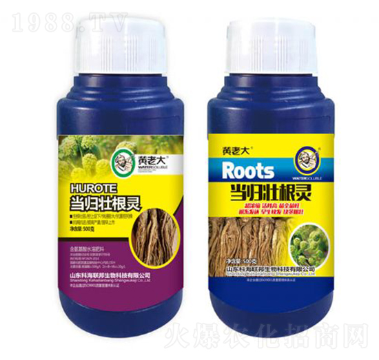 ���w�Ѹ��`-�S�ϴ�-�ƺ�(li��n)��