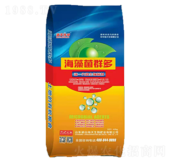 �����Ⱥ��-��������