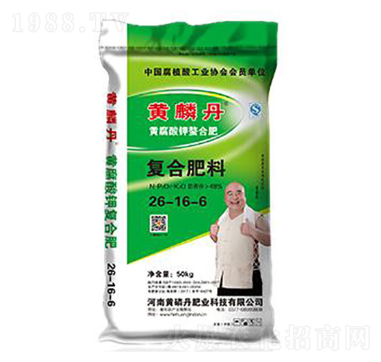 �S����⛏ͺϷ���26-16-6-�S�׵�