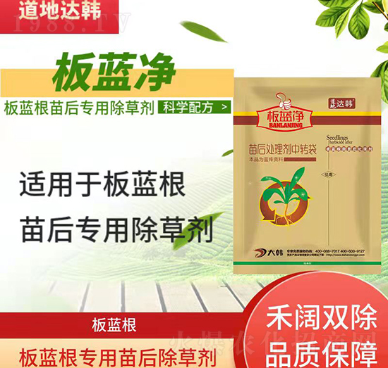 板藍根除草劑-板藍根苗后-板藍根專用-板藍凈-大韓