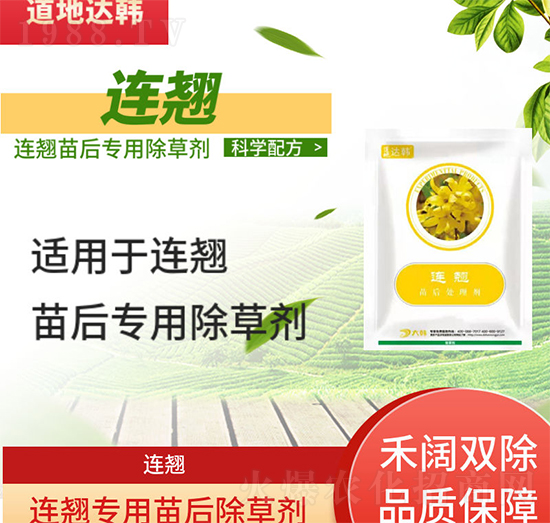 連翹除草劑-連翹苗后-連翹專用-大韓