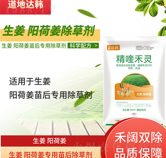 生姜陽(yáng)荷姜除草劑-生姜陽(yáng)荷姜苗后-生姜陽(yáng)荷姜專用-大韓