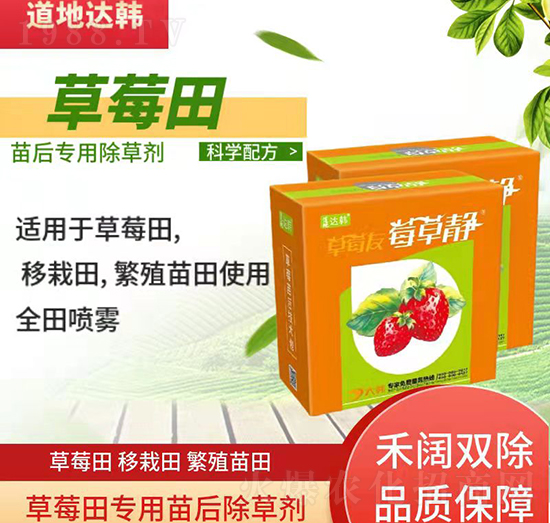 草莓除草劑-草莓苗后-草莓專用-大韓
