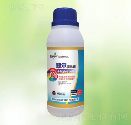 �䠖�ߘ���-�|����(r��n)��