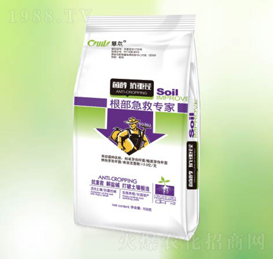 �������Ȍ���-�|������