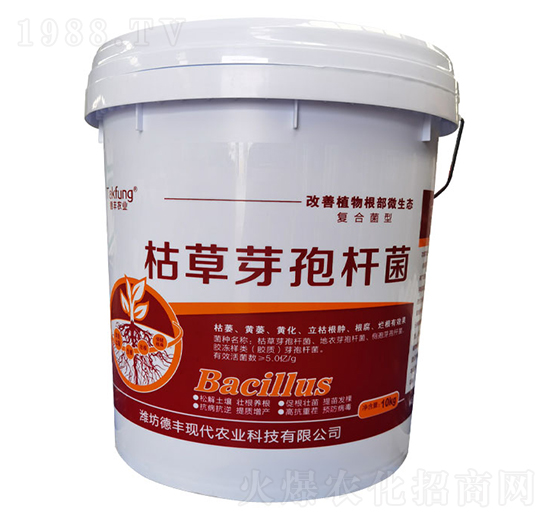 �ݲ�ѿ�ߗU��-��?w��n)|����