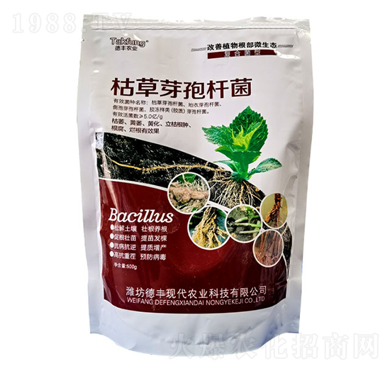 500g�ݲ�ѿ�ߗU��-���|����