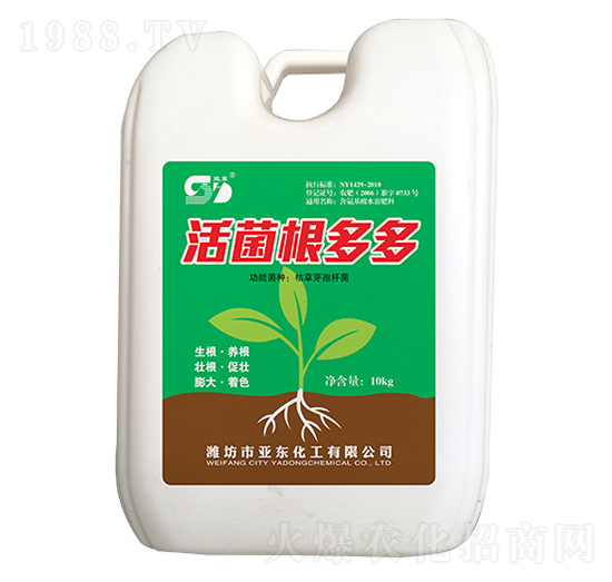 ��������-���|����