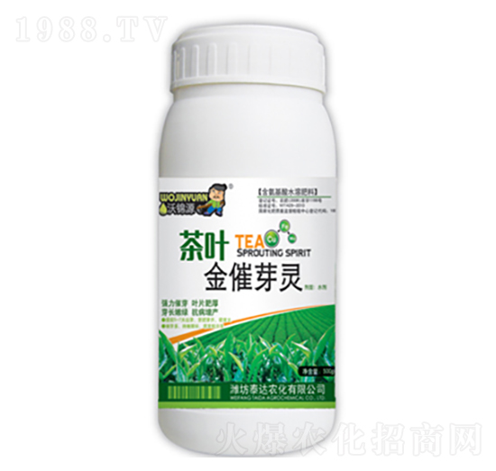 ���~���ѿ�`-̩�_�r��