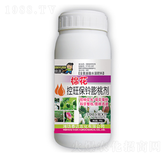 �޻�����������҄�-̩�_�r��