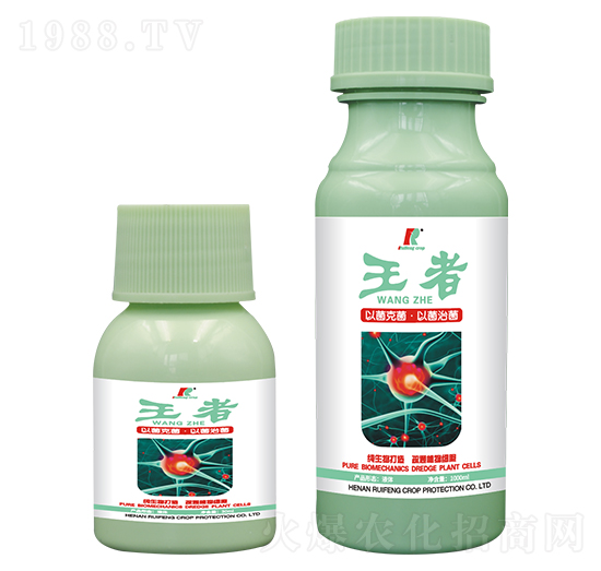 �������Ƅ�-�J�S����