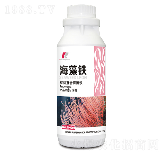 �����F-�J�S����