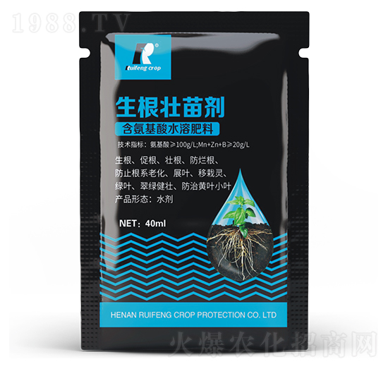 �������焩-�J�S����