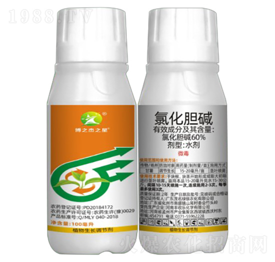 10%�Ȼ�đ�A-��֮��֮��-�S�՘�