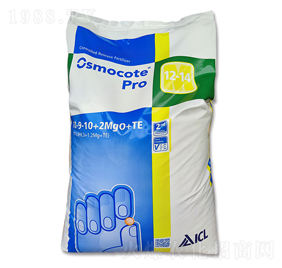 �W�G��18-9-10+2Mgo-�����r�I(y��)