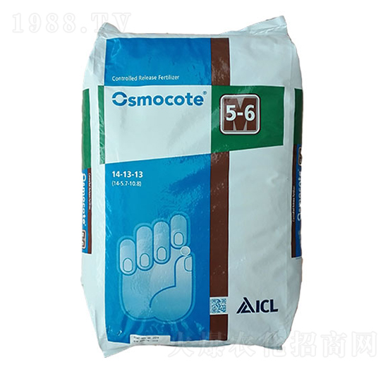 �W�G��14-13-13-�����r�I(y��)