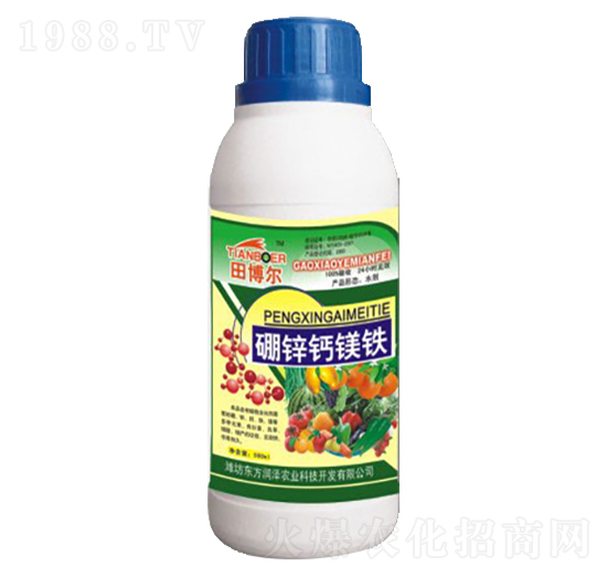 ���\�}�V�F-�|������