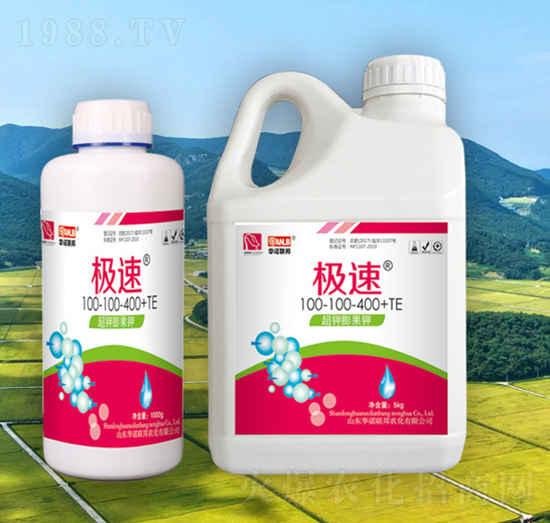 �������100-100-400+TE-�O��-�A�Z��