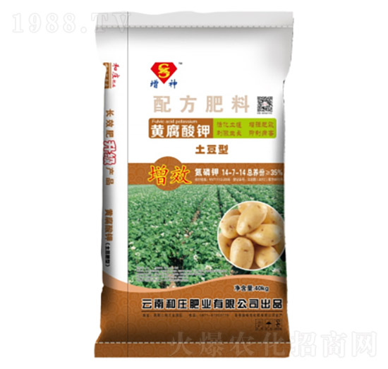 �������S�����-���f�ʘI(y��)