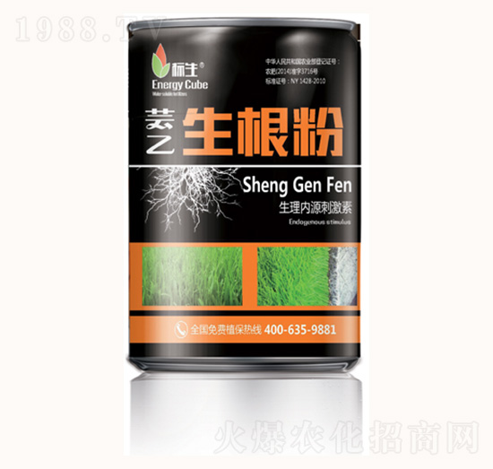 �|��������-���λ���