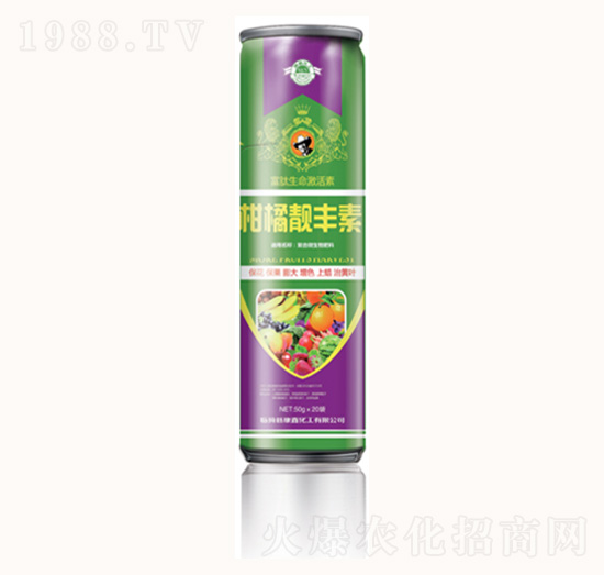 �����n�S��-���λ���