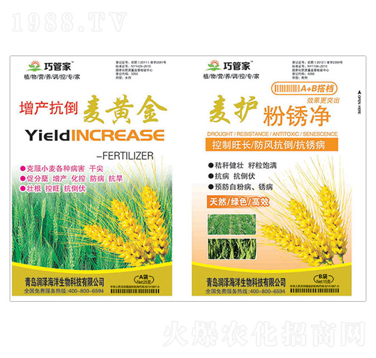 ���a�������S��+���o���P��-�ɹܼ�-����