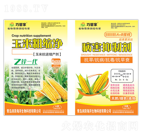 ���״ֿs��+�������Ƅ�-�ɹܼ�-����