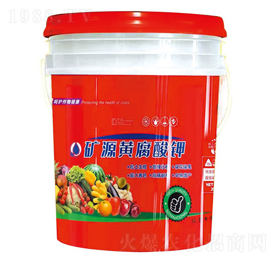 �VԴ�S�����-ؐ������