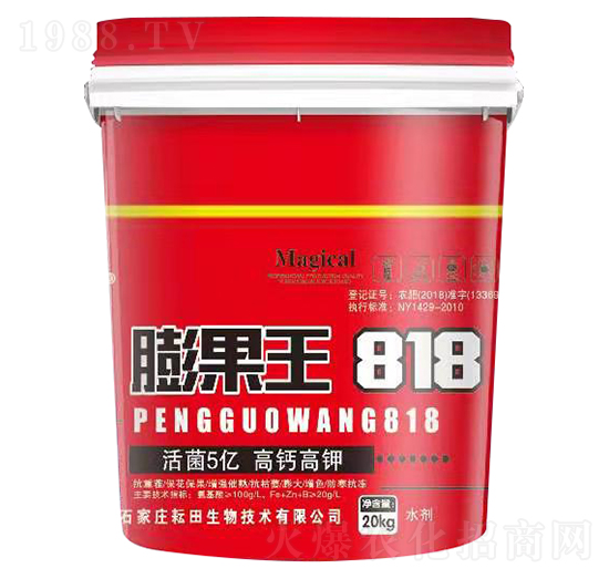 ���}��������818-��������