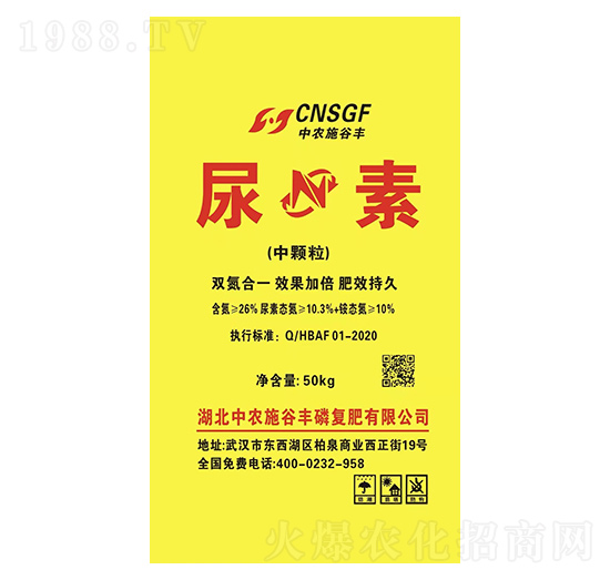 46.3%���أ����w���� ���rʩ���S