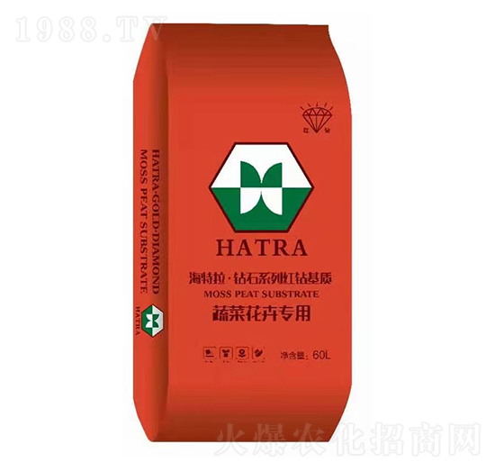 �߲˻��܌�(zhu��n)�� �@ʯϵ�мt�@���|(zh��) ������