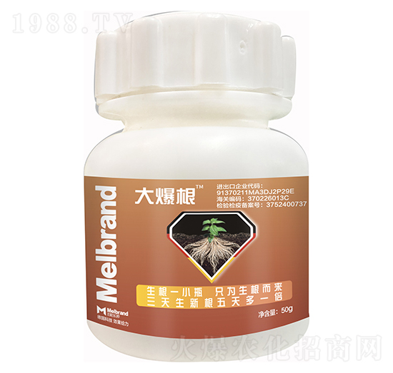 �󱬸� ������