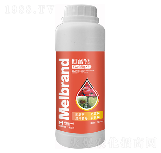 1000ml�Ǵ��} ������