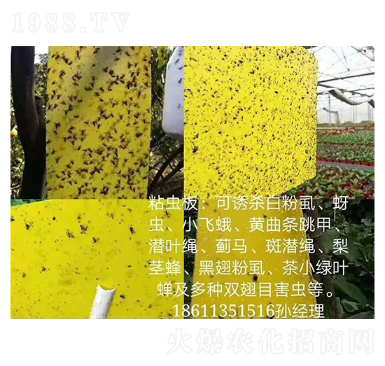 粘蟲板 中農(nóng)博瑞