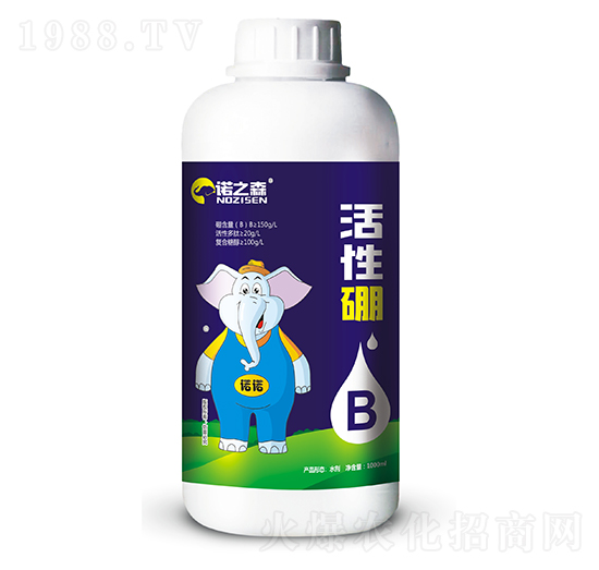 ������ �Z֮ɭ